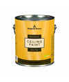 WATERBORNE Ceiling Paint Ultra Flat 508